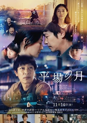 平場の月 poszter
