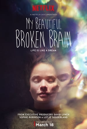 My Beautiful Broken Brain poszter