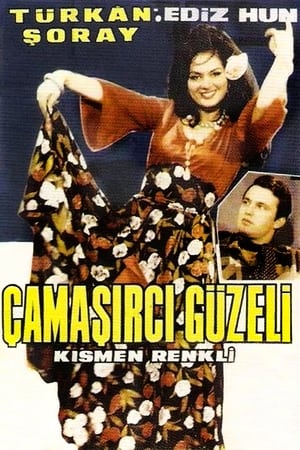 Çamaşırcı Güzeli poszter