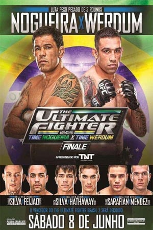 The Ultimate Fighter: Brasil poszter