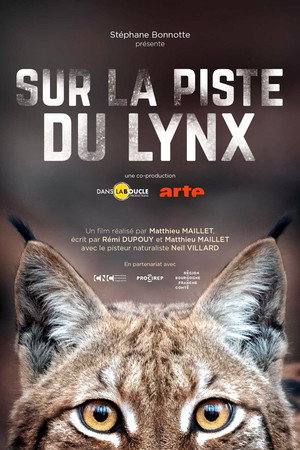Sur la piste du lynx poszter