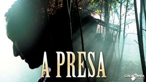 Préda háttérkép