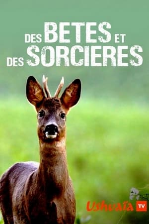 Des bêtes et des sorcières poszter