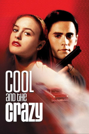 Cool and the Crazy poszter