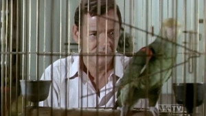 The Odd Couple Season 1 Ep.10 10. epizód
