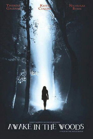Awake In The Woods poszter