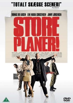 Store planer