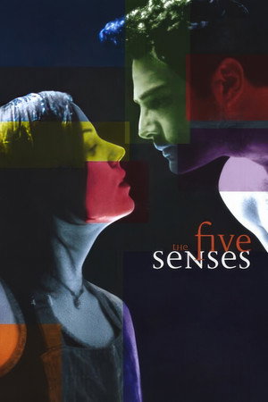 The Five Senses poszter