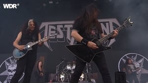 Testament - Live Rockpalast - Summer Breeze Festival -  August 15, 2019 háttérkép