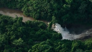 Le dernier poumon du monde háttérkép