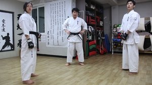 공수도 háttérkép
