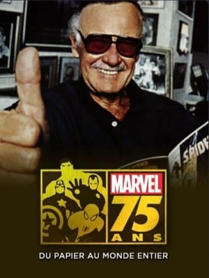 Marvel: 75 Years, from Pulp to Pop! poszter