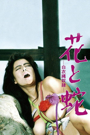 花と蛇　白衣縄奴隷 poszter