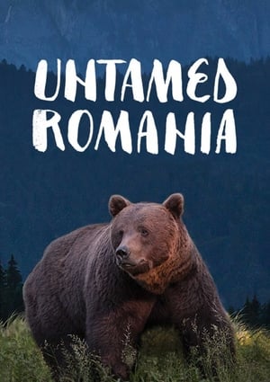 România neîmblânzită poszter