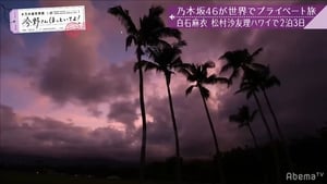 乃木坂世界旅 今野さんほっといてよ！ 1. évad Ep.1 1. epizód