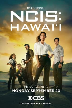 NCIS: Hawaii poszter