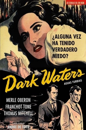 Dark Waters poszter