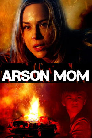 Sole Custody poszter