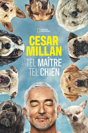 Cesar Millan: Jó gazdi, jó kutya poszter