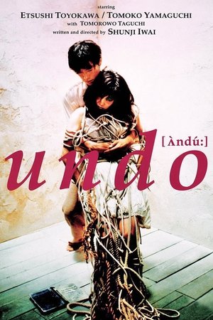 Undo poszter