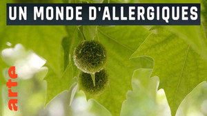 Un monde d'allergiques háttérkép