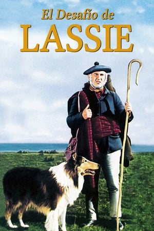 Challenge to Lassie poszter