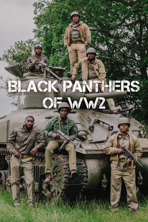 Black Panthers of WWII poszter