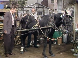 Sanford and Son Season 4 Ep.8 8. epizód