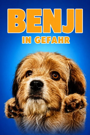For the Love of Benji poszter