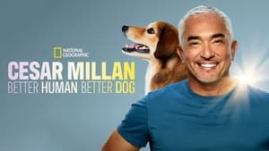 Cesar Millan: Jó gazdi, jó kutya kép