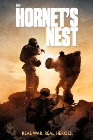 The Hornet's Nest poszter