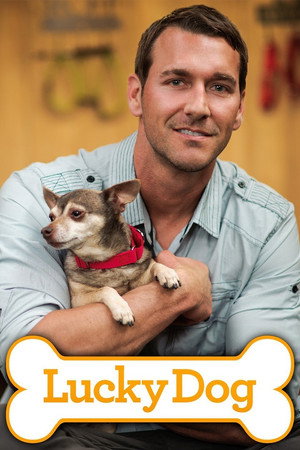 Lucky Dog poszter