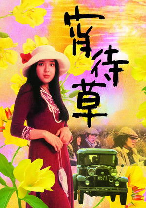 宵待草 poszter