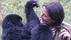 Dian Fossey: Ihr Leben für die Gorillas háttérkép