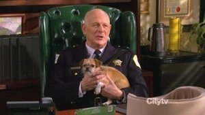 Mike és Molly 3. évad Ep.18 18. epizód