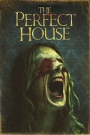 The Perfect House poszter