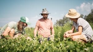 Zöld forradalom: A jövő farmjai kép