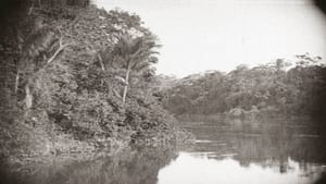 Amazonas, Maior Rio do Mundo háttérkép