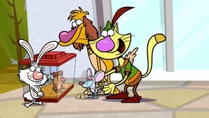 Nature Cat Season 1 Ep.1 1. epizód