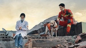 我的人间烟火 kép