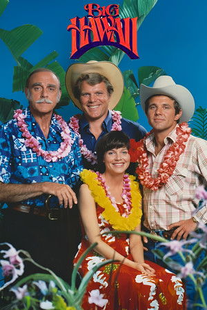 Big Hawaii poszter