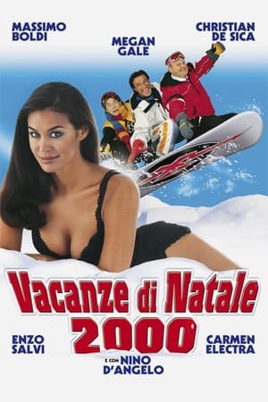 Vacanze di Natale 2000 poszter