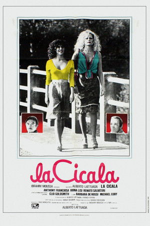 La cicala poszter