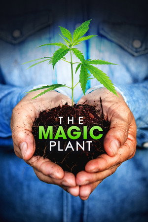 The Magic Plant poszter