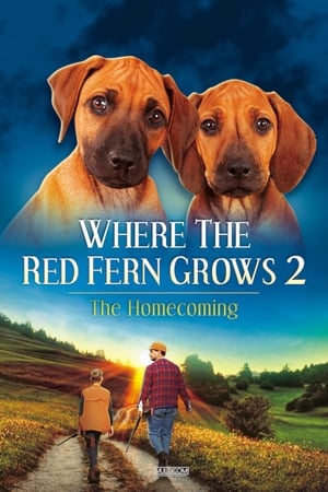 Where The Red Fern Grows Part 2 poszter