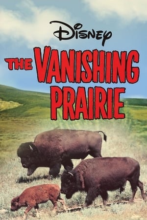 The Vanishing Prairie poszter