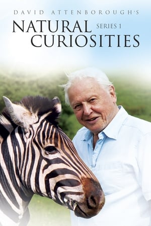 A természet furcsaságai David Attenborough-val