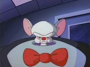 Pinky and the Brain 1. évad Ep.2 2. epizód