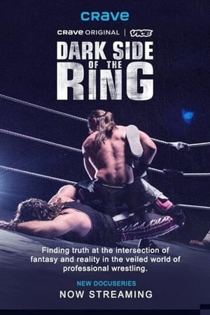 Dark Side of the Ring poszter