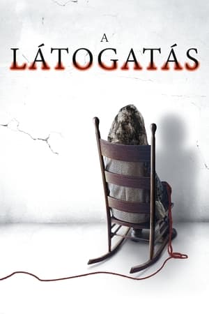 A látogatás